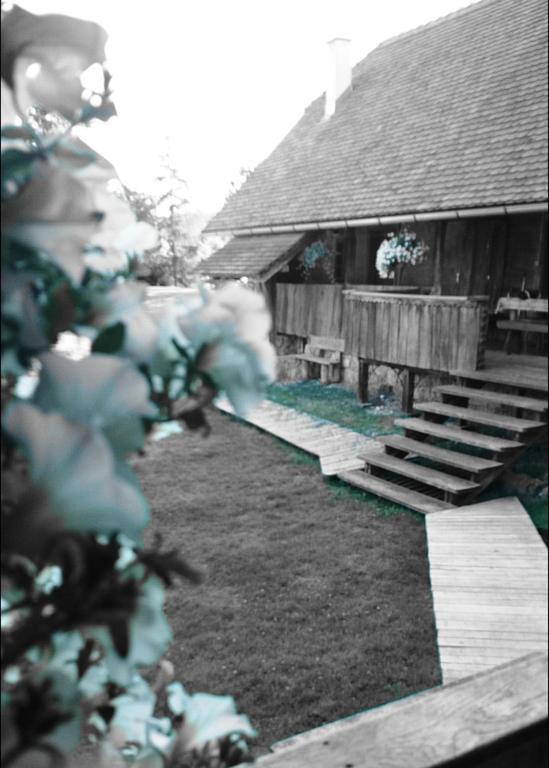 Rustic Home Mia Duga Resa Cameră foto