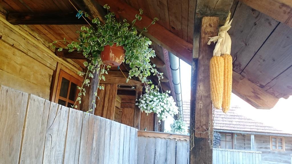 Rustic Home Mia Duga Resa Cameră foto